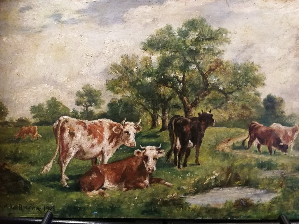 Antiek schilderij koeien, olieverf, Van Rijswijck, 1903, Antiek en Kunst, Kunst | Schilderijen | Klassiek, Ophalen