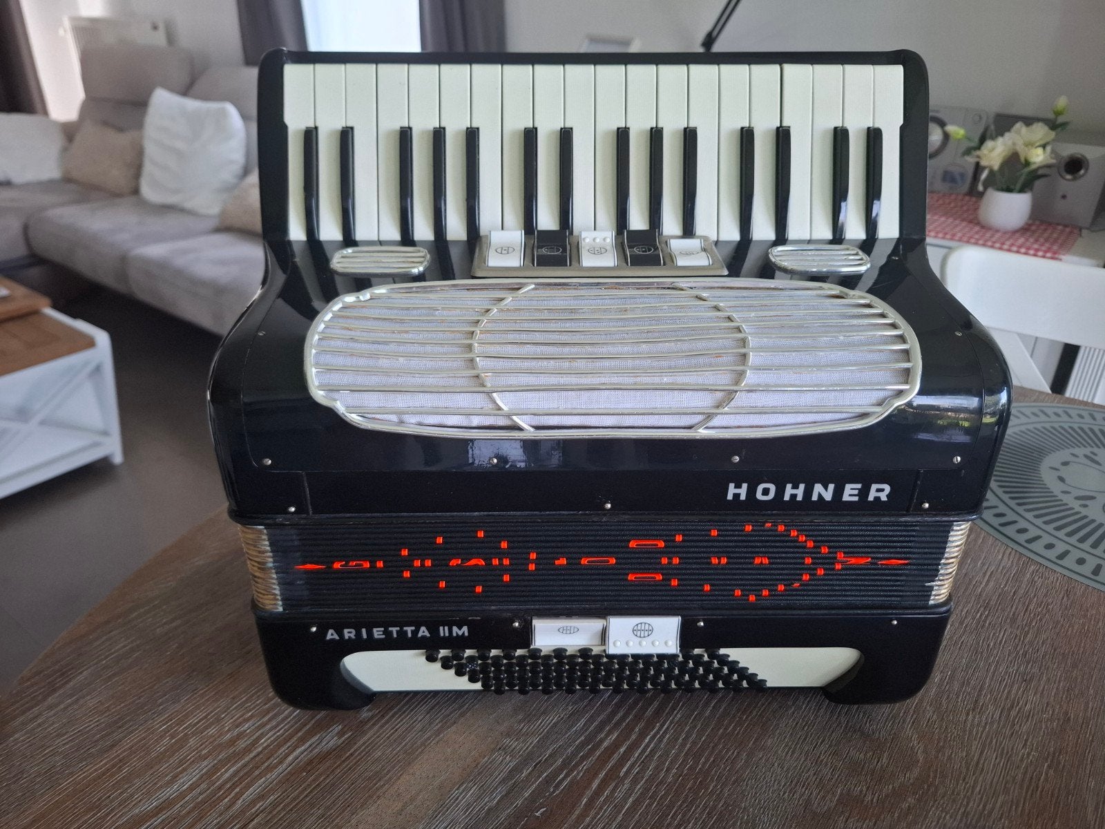 Hohner Arietta II M 72 bassen, Enlèvement, Hohner