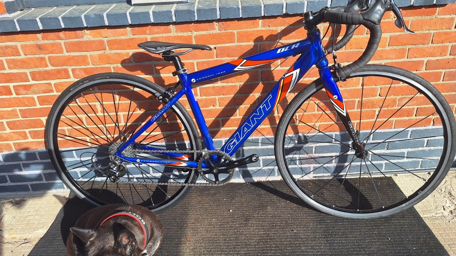 CX, vélos de route Gravel pour enfants/jeunes, Vélos & Vélomoteurs, Enlèvement ou Envoi, Comme neuf