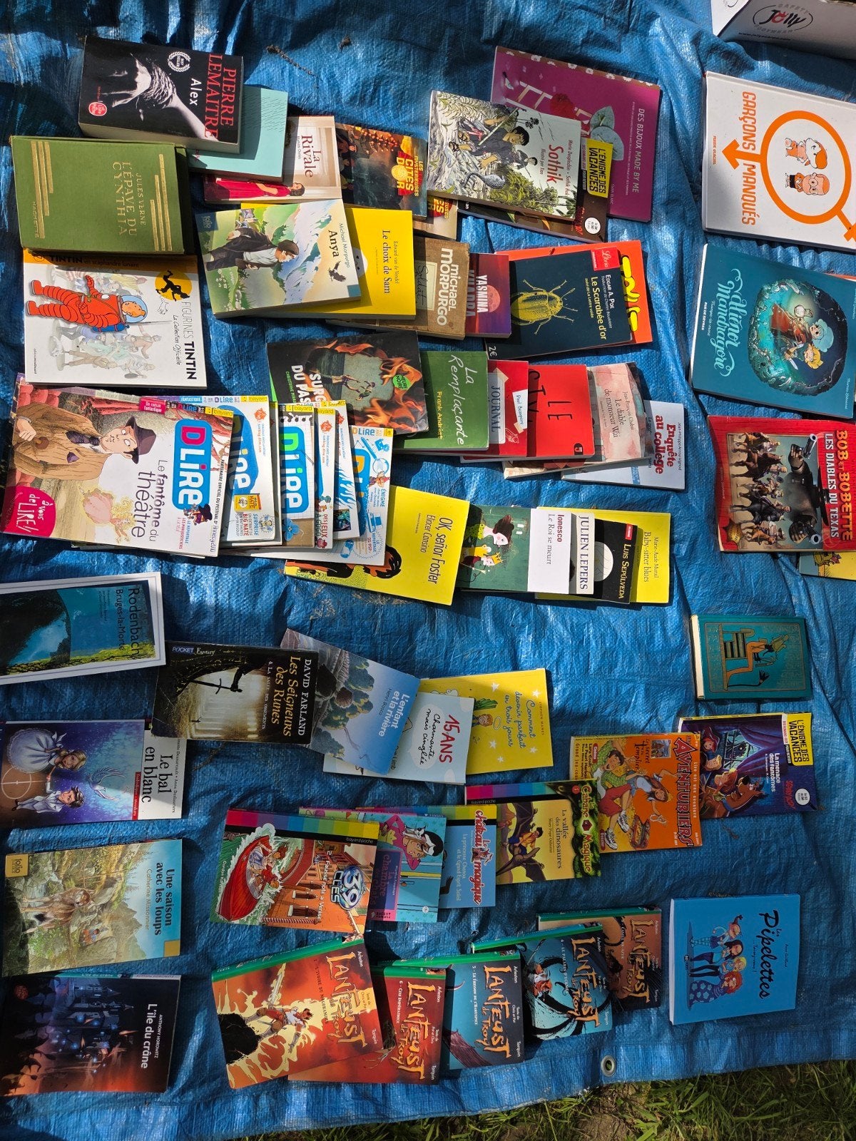 Set boeken/strips voor kinderen en tieners, Ophalen