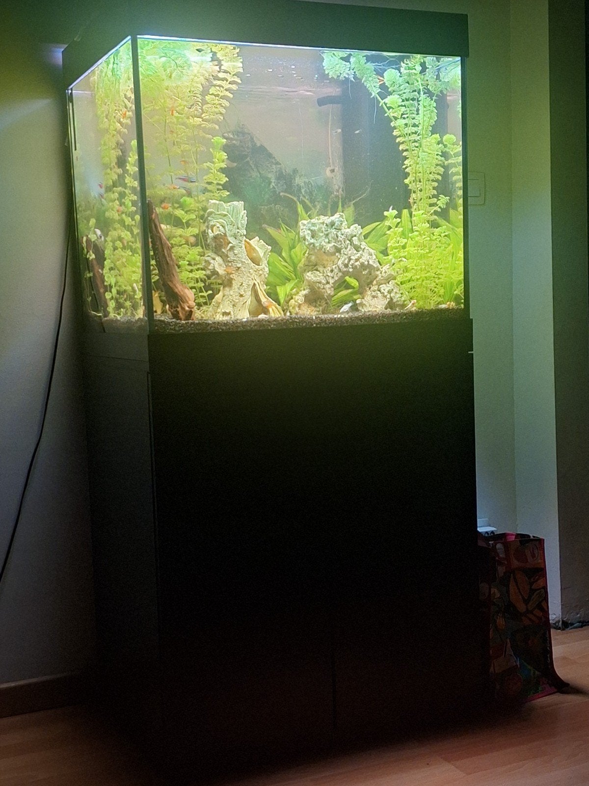 Juwel 200l + kast + toebehoren, Animaux & Accessoires, Enlèvement, Poissons inclus, Aquarium d'eau douce rempli, Juwel
