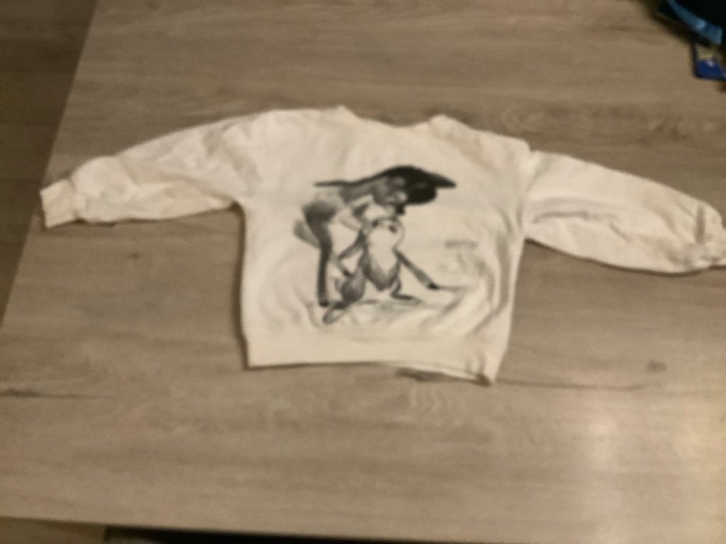 Disney Bambi sweater (110-116), Kinderen en Baby's, Kinderkleding | Maat 110, Meisje, Ophalen of Verzenden, Zo goed als nieuw