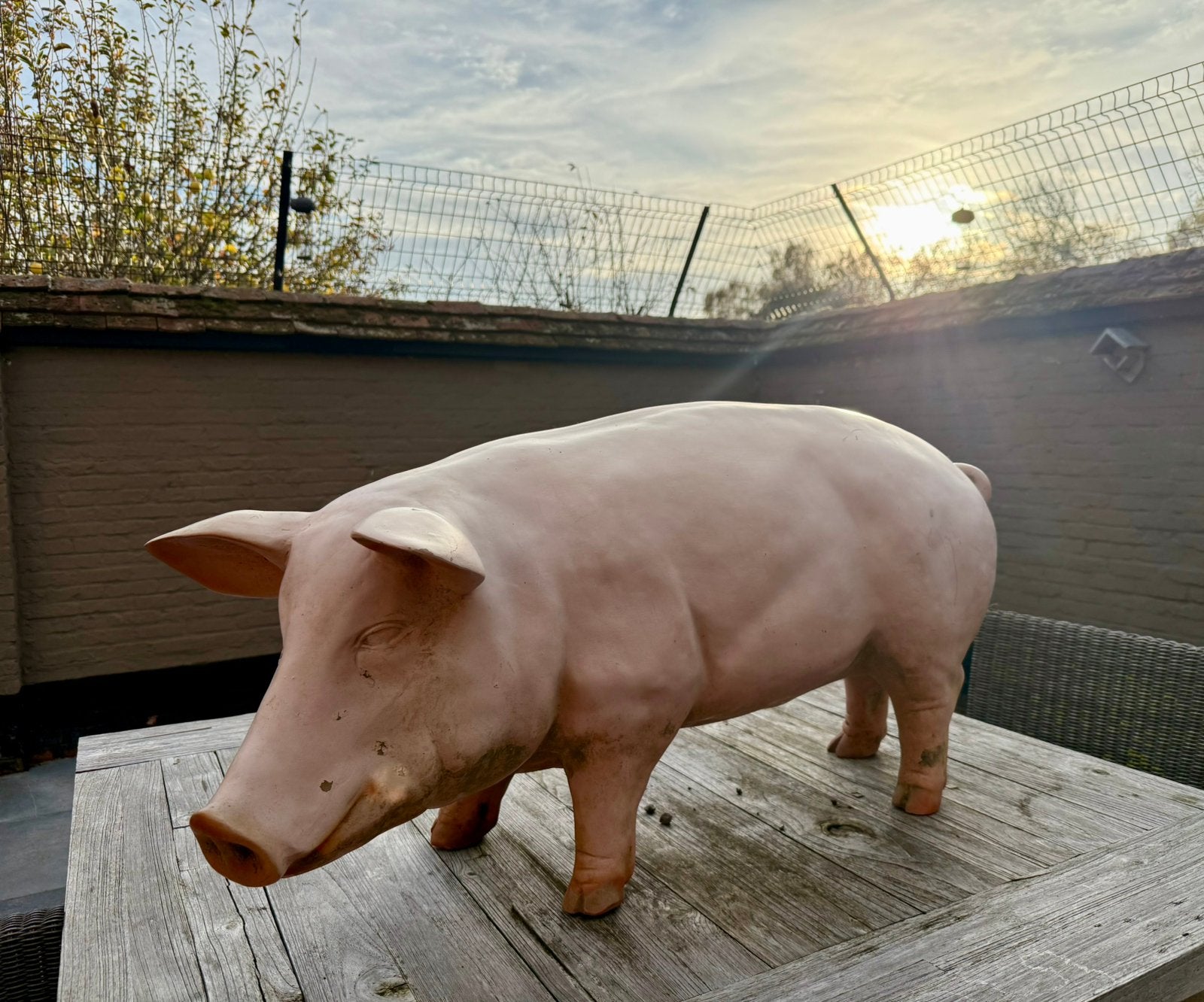Mooi VARKEN, vermoedelijk beenhouwerij reclame  ?, Ophalen, Gebruikt, Overige typen