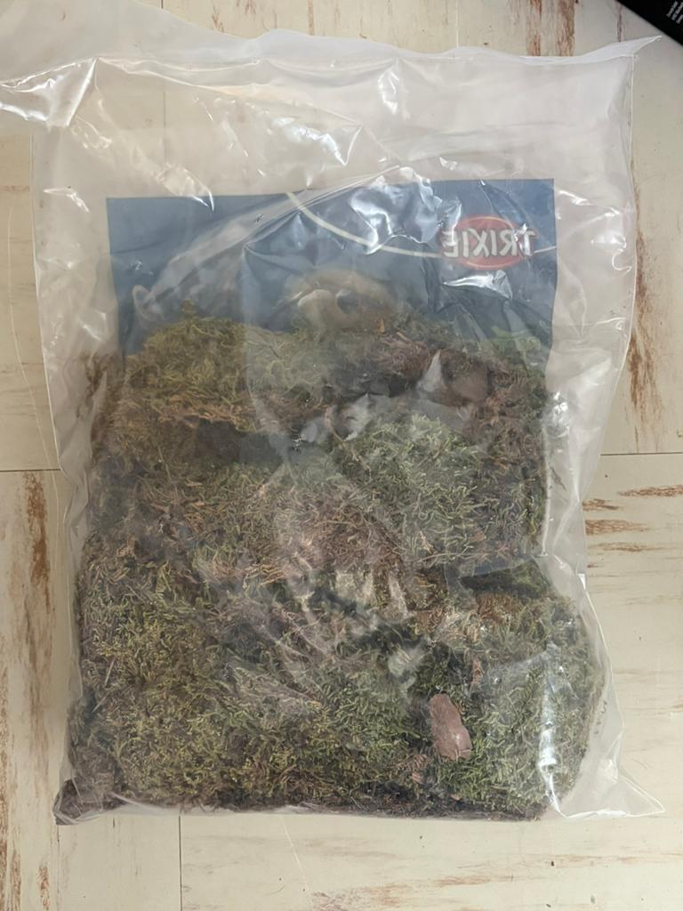 Mos, Dieren en Toebehoren, Ophalen, Zo goed als nieuw, Tak, Plant, Rots of Steen