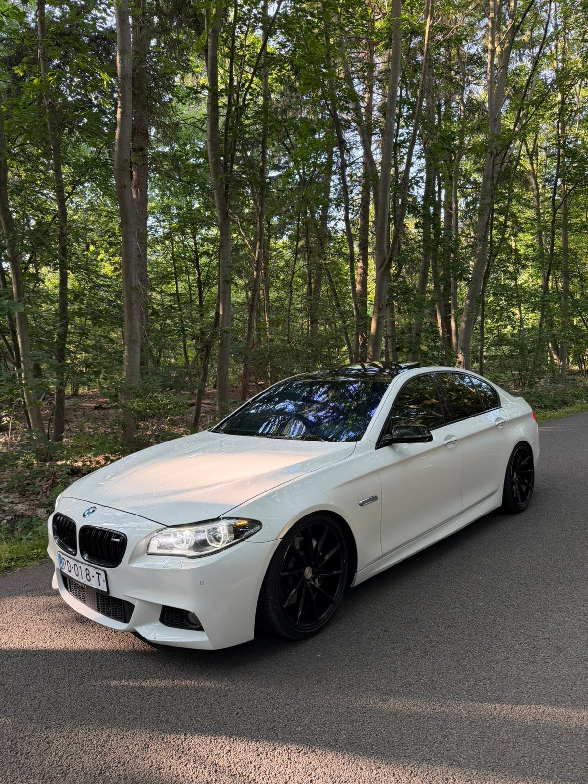 Bmw f10 530d 2013 euro6 m packet, Autos, BMW, Euro 6, Diesel, Automatique, Particulier