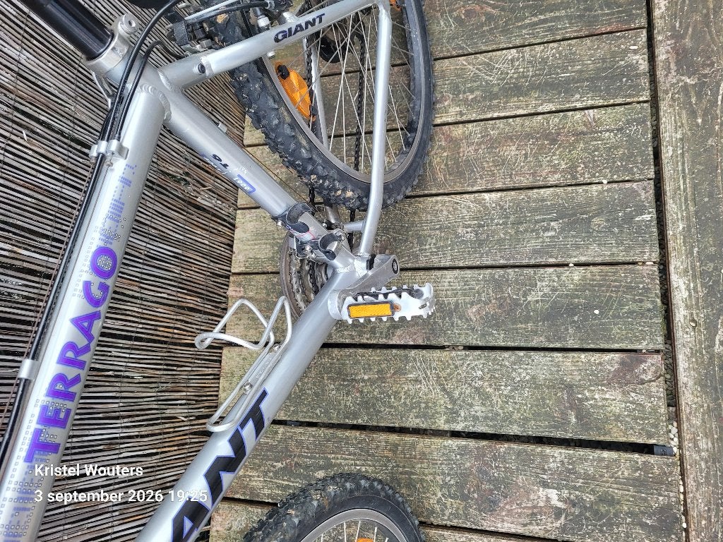 Mountainbike Giant te koop 60 €, Fietsen en Brommers, Ophalen, Giant, Versnellingen