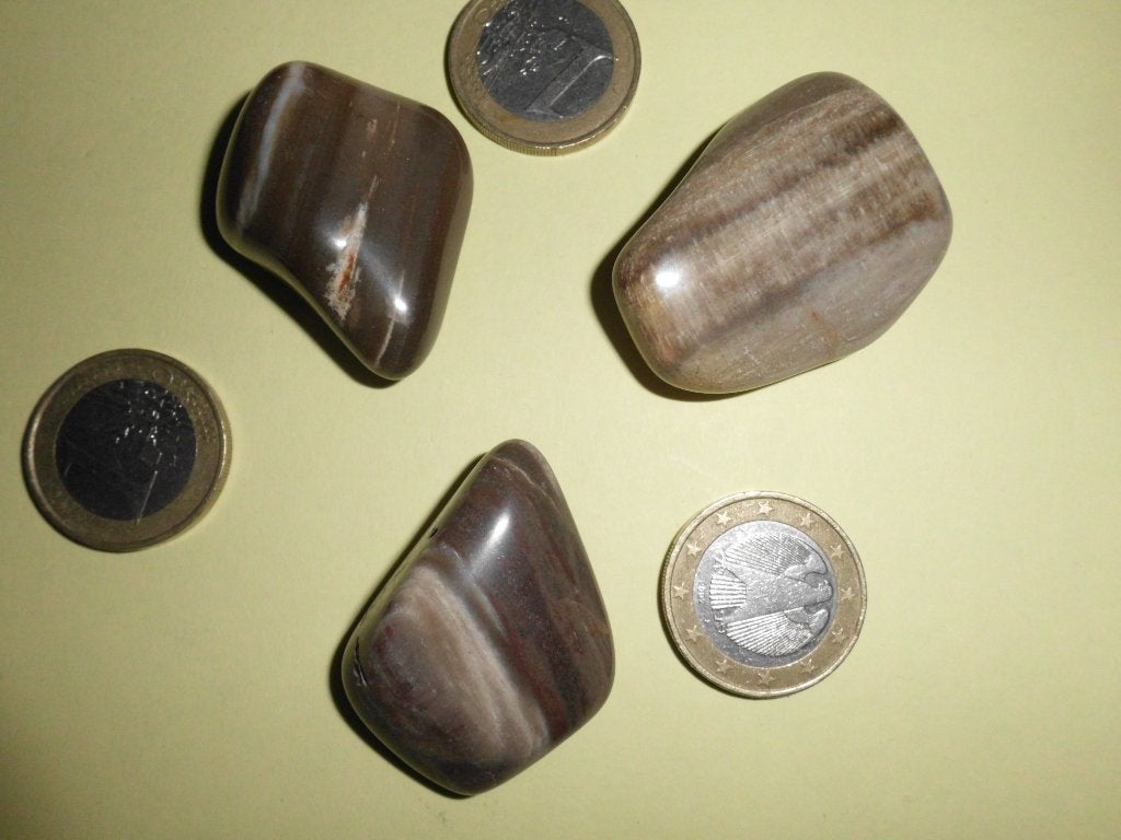knuffelstenen versteend hout - 12 voor 10 euro !, Verzamelen, Ophalen of Verzenden
