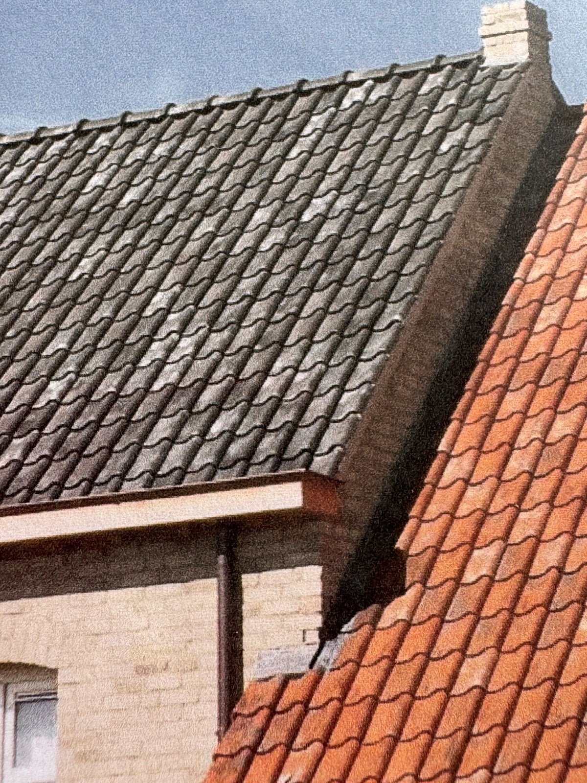 Oude Pottelbergse vielli blauw gesmoord-250stuks-NIEUW, Ophalen, Nieuw, Blauw