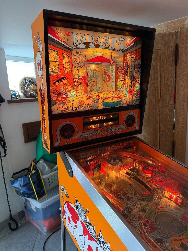 Flipper vintage BAD CATS, Collections, Mécanique, Flipper (jeu), Williams, Enlèvement