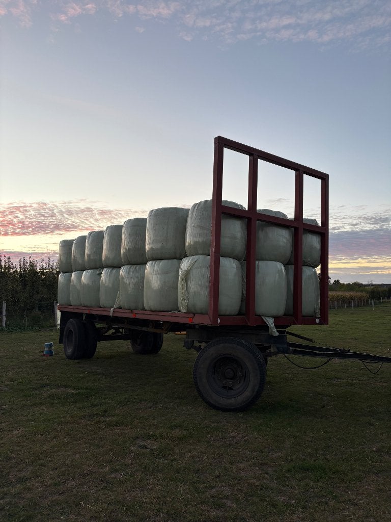 Midi balen hooi/voordroog te koop, Enlèvement