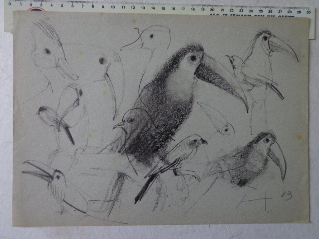 vlotte tekening van Hugo Heyens Toekan en andere vogels 1983, Antiek en Kunst, Kunst | Tekeningen en Fotografie, Tekening, Potloodtekening