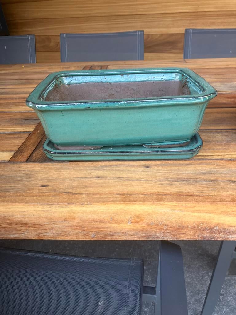 Bonsai pot, Enlèvement, Comme neuf, Rectangulaire