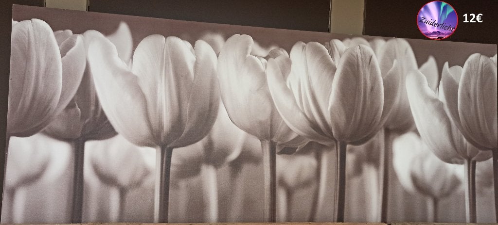 Schilderij - Tulpen veld, Antiek en Kunst, Ophalen
