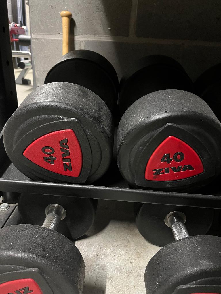 Halterset van 10-40 kg, Sport en Fitness, Fitnessmaterialen, Ophalen of Verzenden, Gebruikt, Benen, Halterset