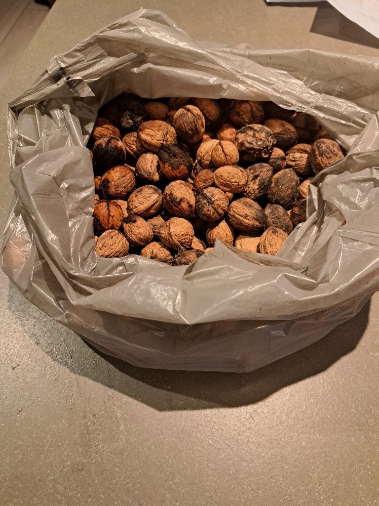Walnoten 5 kg, Ophalen