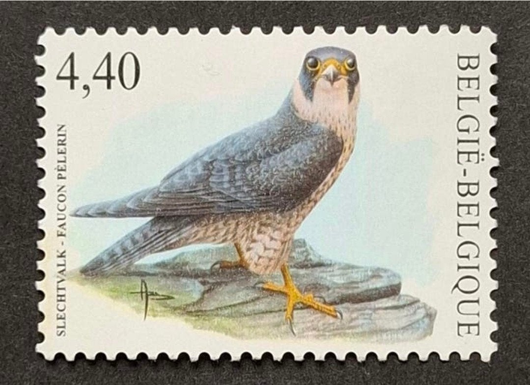 België: OBP 3751 ** Vogels 2008., Frankeerzegel, Ophalen of Verzenden, Zonder stempel, Postfris