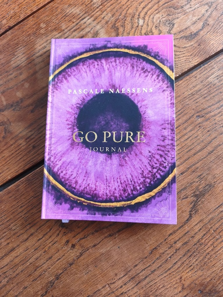 Boek pascal naessens, Livres, Enlèvement ou Envoi, Neuf, Autres types, Pascale Naessens