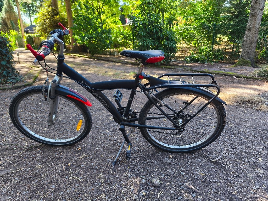 Fiets jongen, Ophalen, Velgrem, Oxford, Handrem