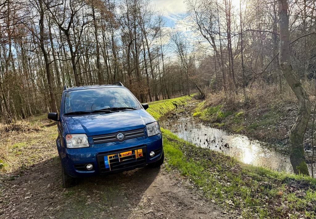 FIAT PANDA 4x4  2005, Auto's, Fiat, 4 zetels, Stof, Blauw, 1055 kg