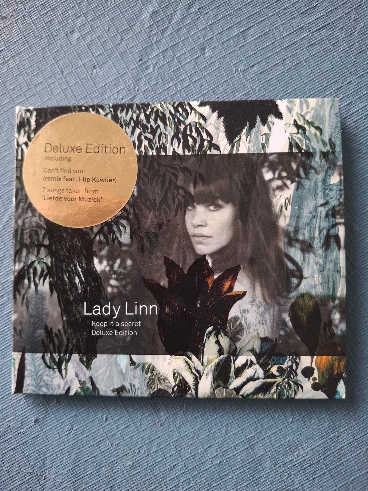 Cd Lady Linn, CD & DVD, CD | Pop, Enlèvement ou Envoi