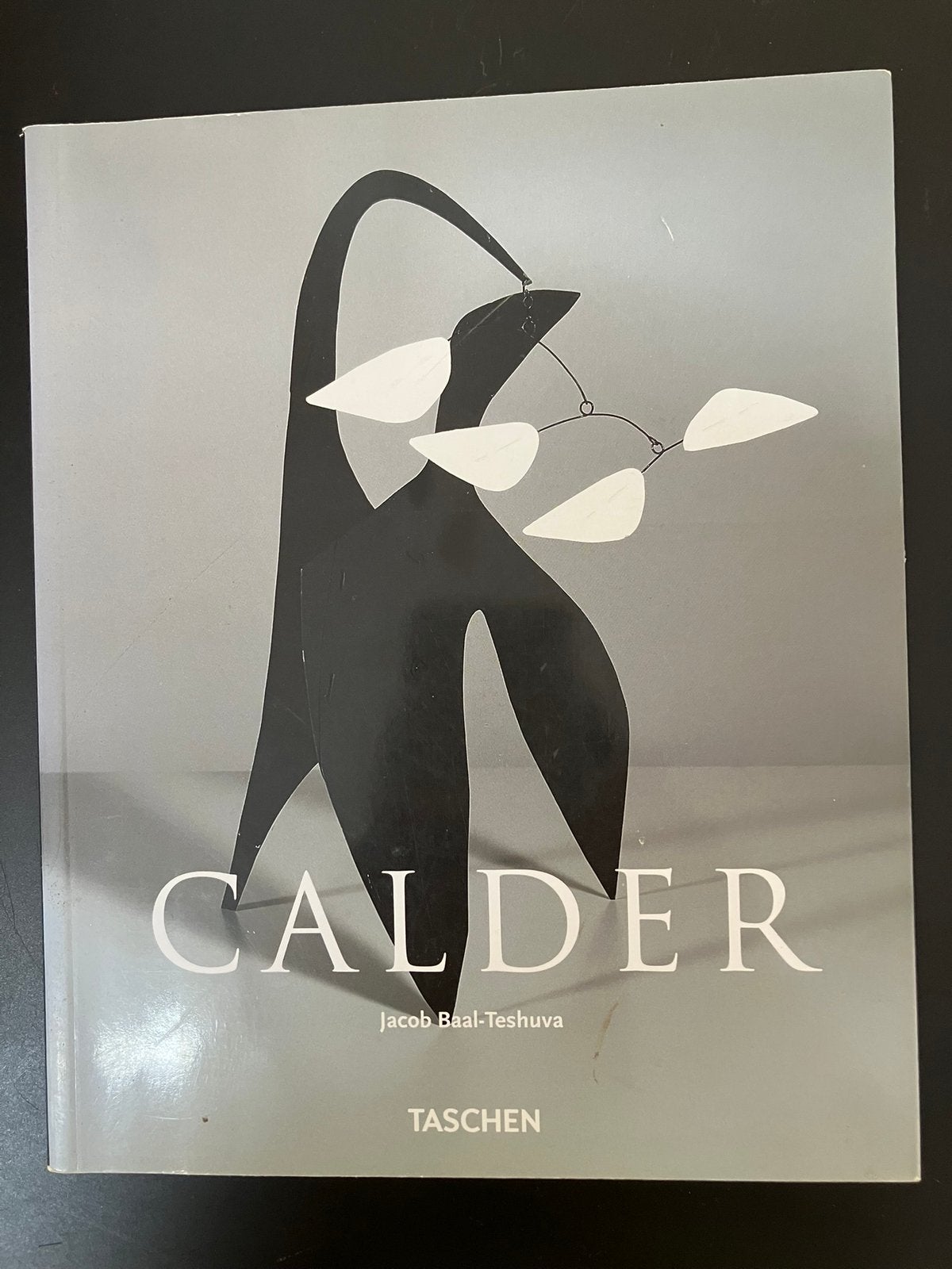 Alexander Calder Taschen, Boeken, Ophalen of Verzenden, Gelezen