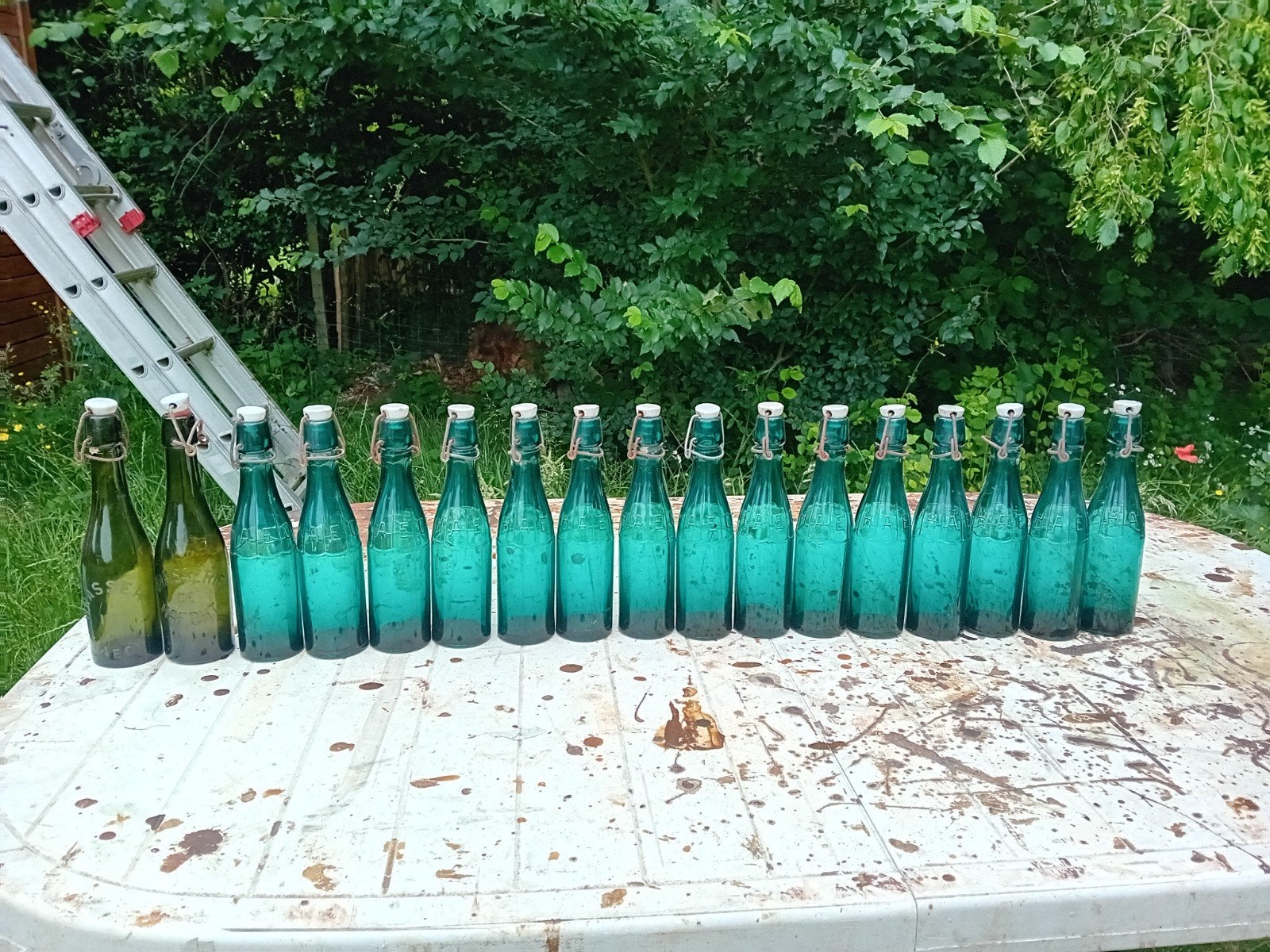 Oude vintage bierflessen brouwerij Haacht Haecht, Verzamelen, Ophalen of Verzenden