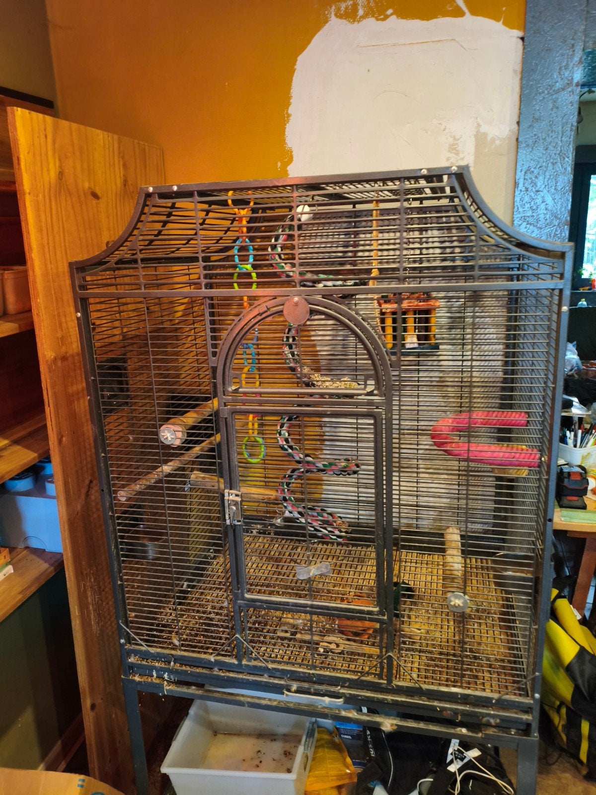 2 grote vogel/ papegaaien kooien, Enlèvement