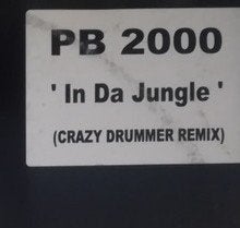 PB 2000 – In Da Jungle, Cd's en Dvd's, Vinyl | Dance en House, Ophalen of Verzenden