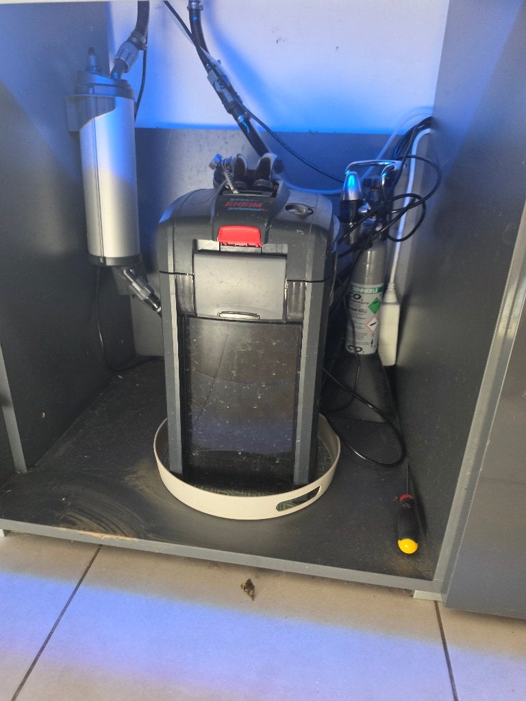 EHEIM 400L aquarium + pomp en alle accessoires, Dieren en Toebehoren, Ophalen, Gebruikt, Gevuld zoetwateraquarium, Inclusief vissen