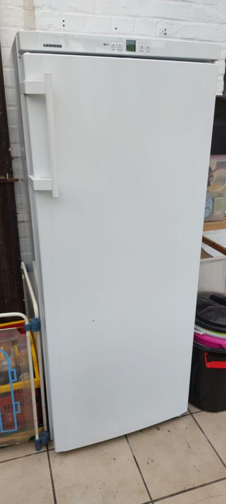 Vriezer, Elektronische apparatuur, Vriezers en Diepvrieskisten, Ophalen