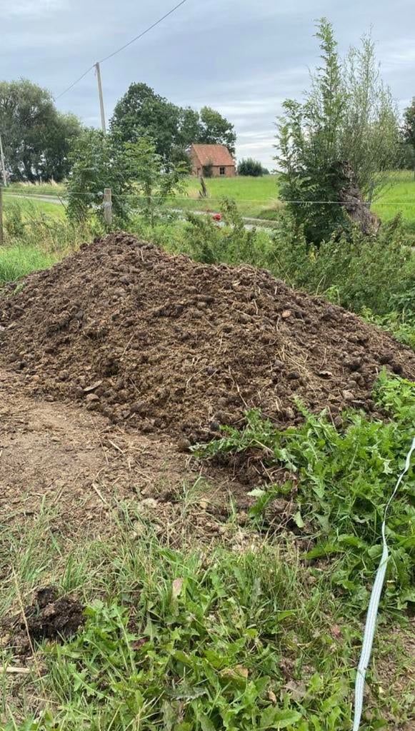 Pure paardenmest GRATIS, Tuin en Terras, Aarde en Mest, Mest, Ophalen
