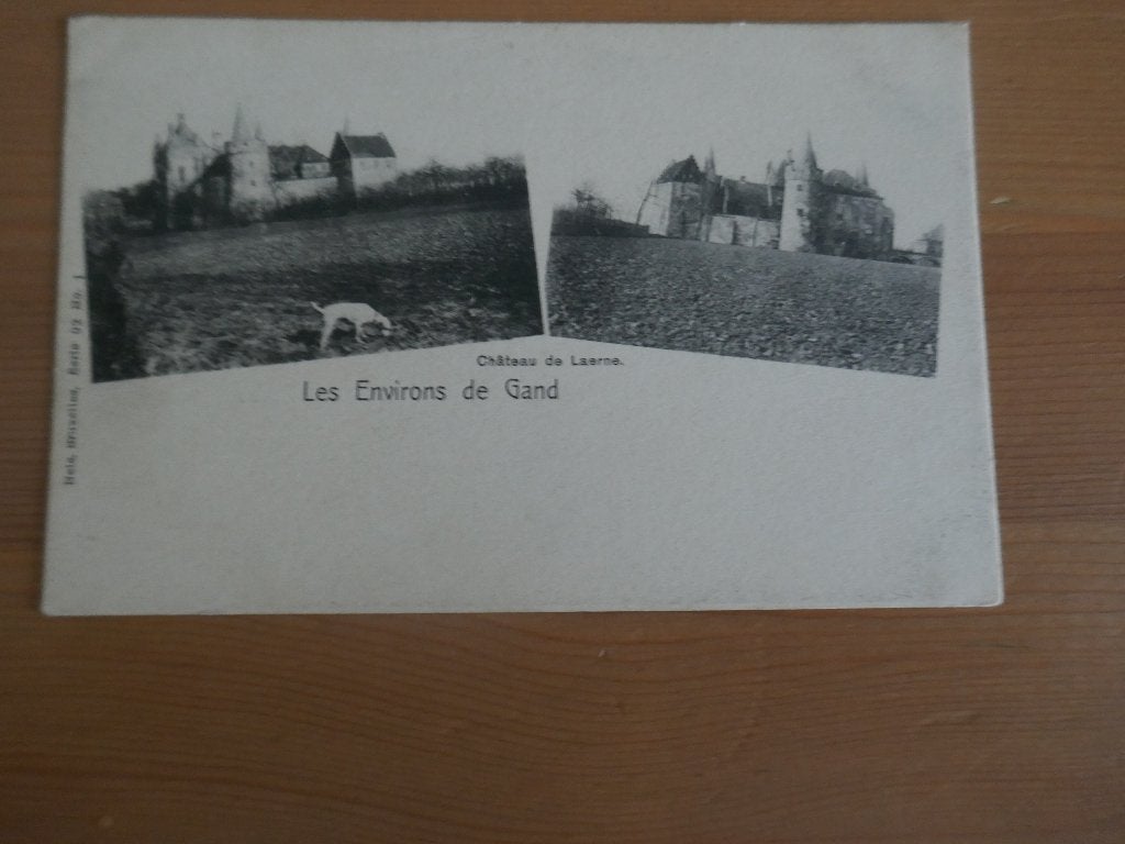 laarne château de laerne, Verzamelen, Postkaarten | België, Verzenden, Ongelopen, Oost-Vlaanderen
