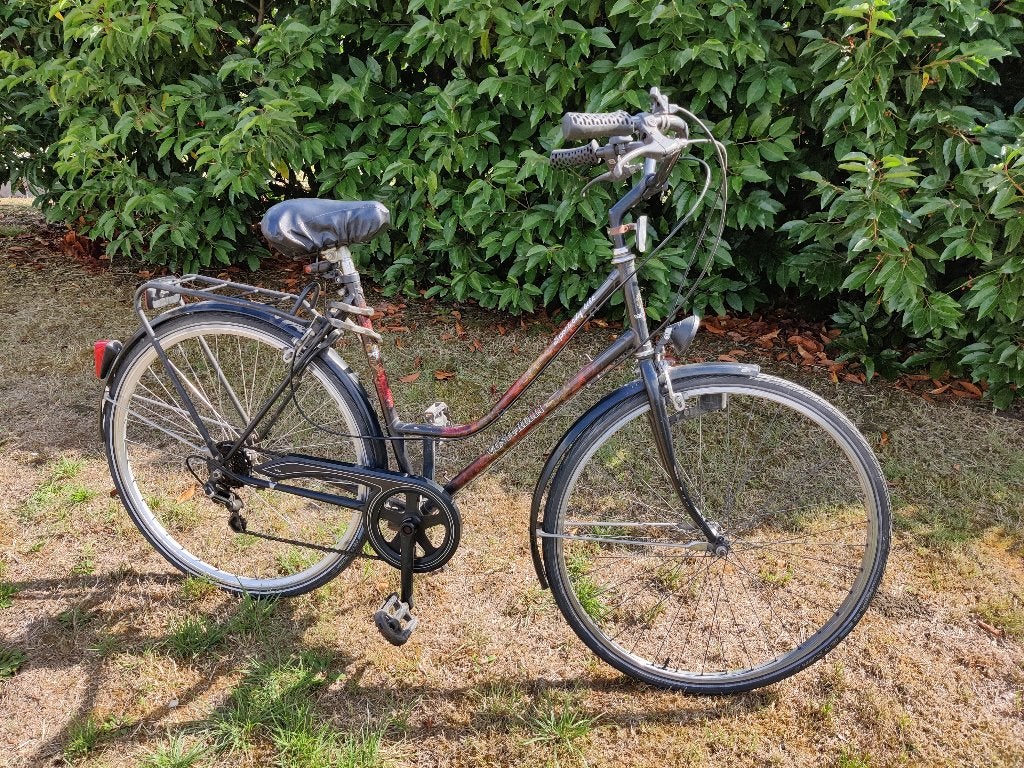 Studentenfiets dames fiets Venturelli in prima staat, Accès (extra) bas, Autres marques, Frein sur jante, Enlèvement