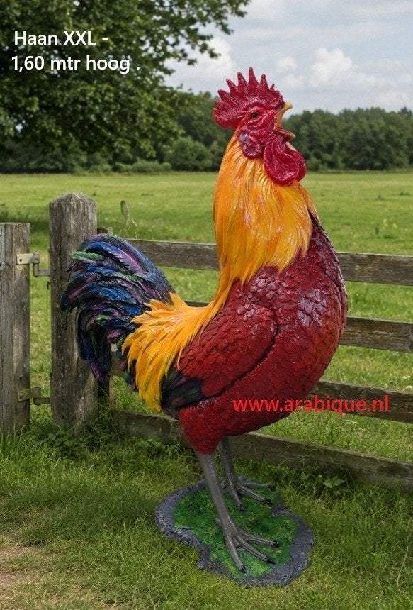 Haan en Hen  kip XXXL grote maten, Jardin & Terrasse, Enlèvement