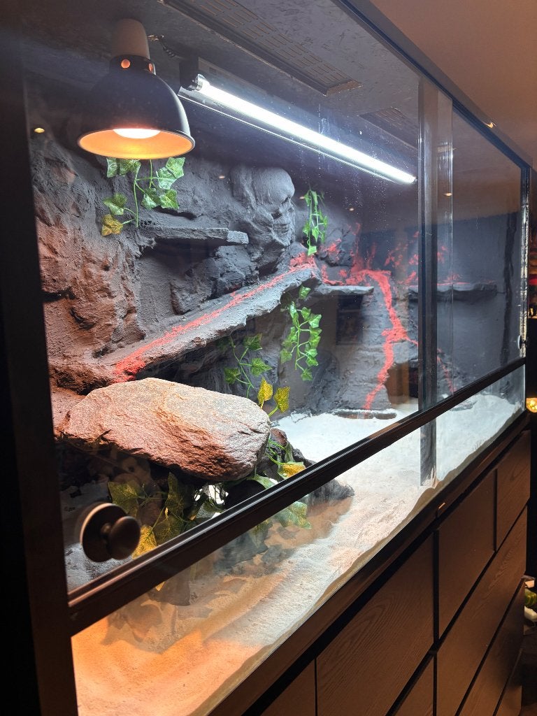Terrarium (-30% uit stock) h150xd50xh70, Dieren en Toebehoren, Ophalen of Verzenden, Nieuw, Terrarium of Paludarium