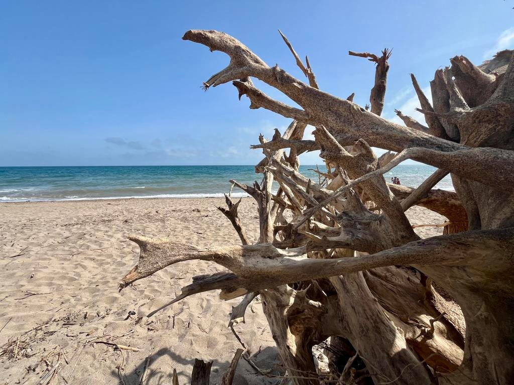 Maison 6 pers Sud France Méditerranée, clim, 35 à 50 m², Bruxelles