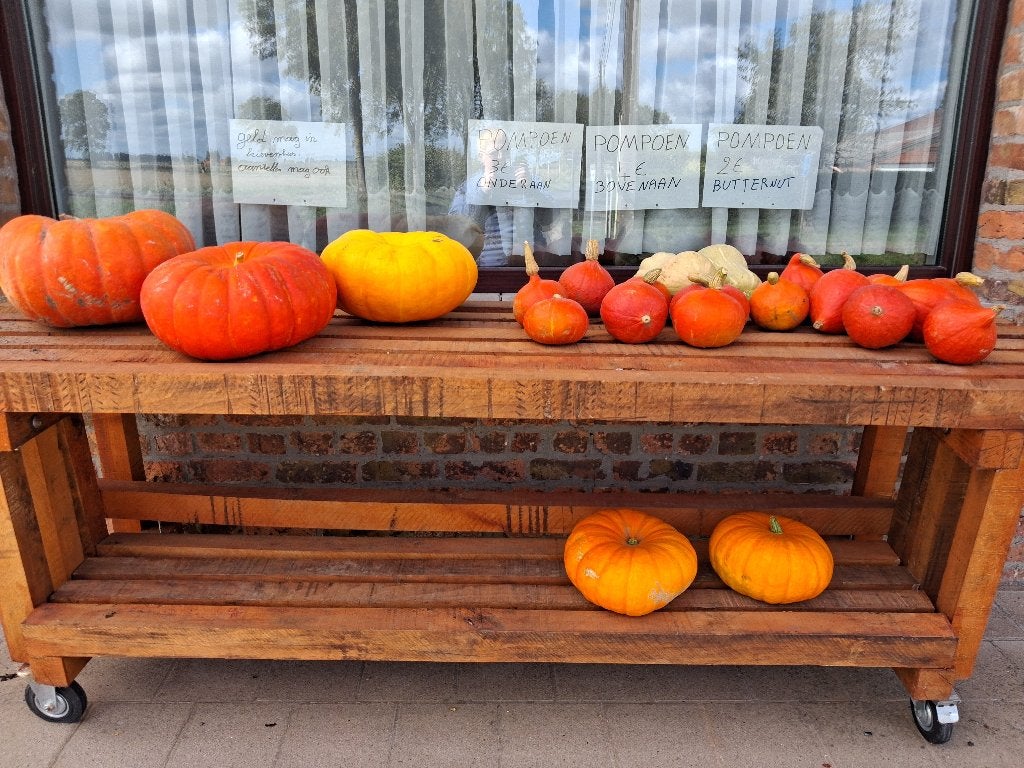 Verse pompoenen, Divers, Produits alimentaires, Enlèvement