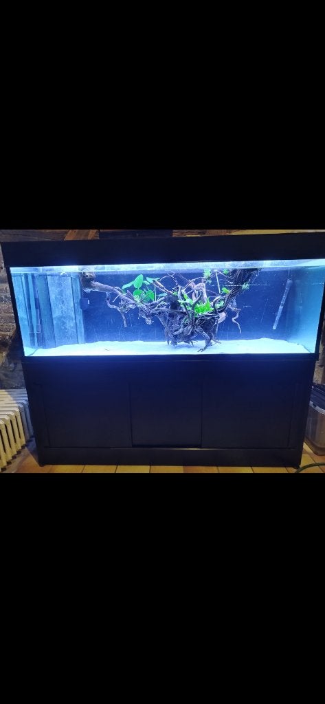 Aquarium ( 400l ), Dieren en Toebehoren, Ophalen, Gebruikt, Leeg aquarium