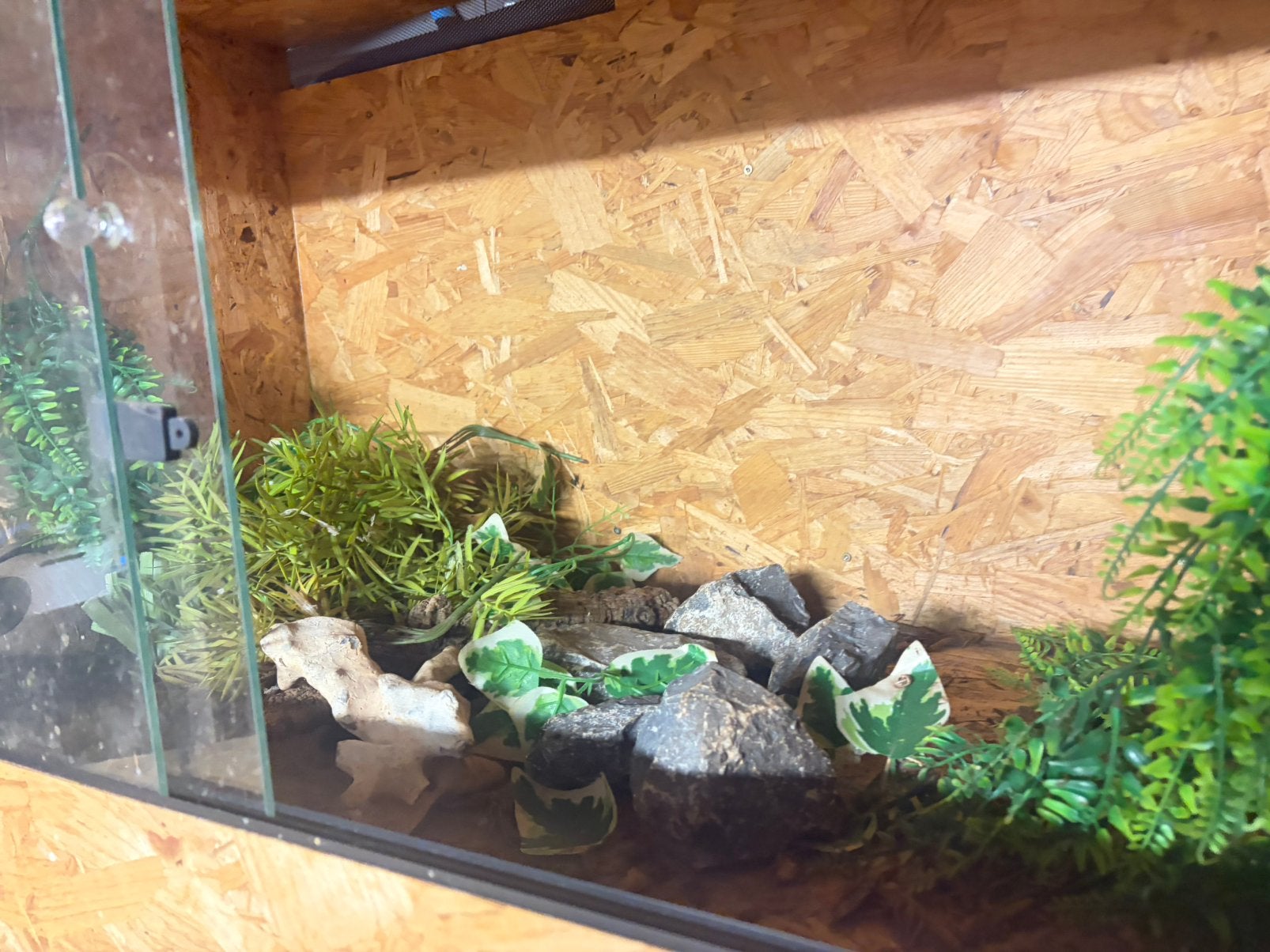 Lege terrarium