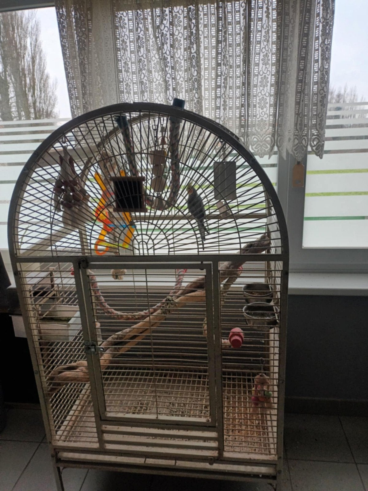 Cage à oiseaux à vendre, Animaux & Accessoires, Enlèvement, Cage à oiseaux