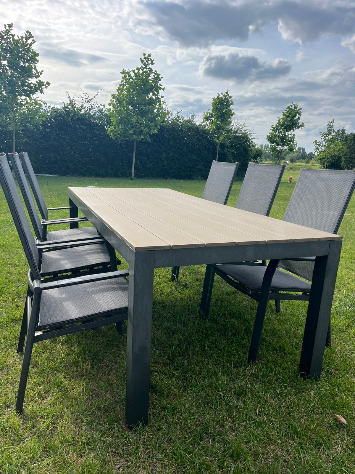 Tuinset: buitentafel met 6 bijhorende stoelen, Ophalen, Overige materialen, Gebruikt, Eettafel
