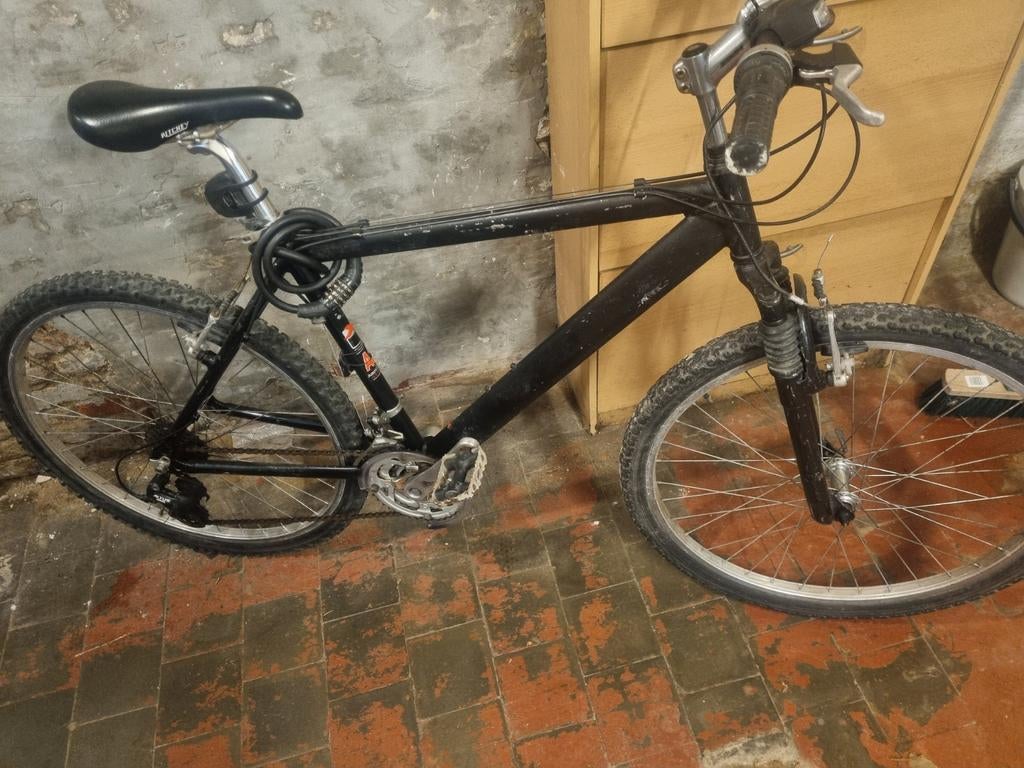 Vélo pour adultes  26 pouces, 26 pouces