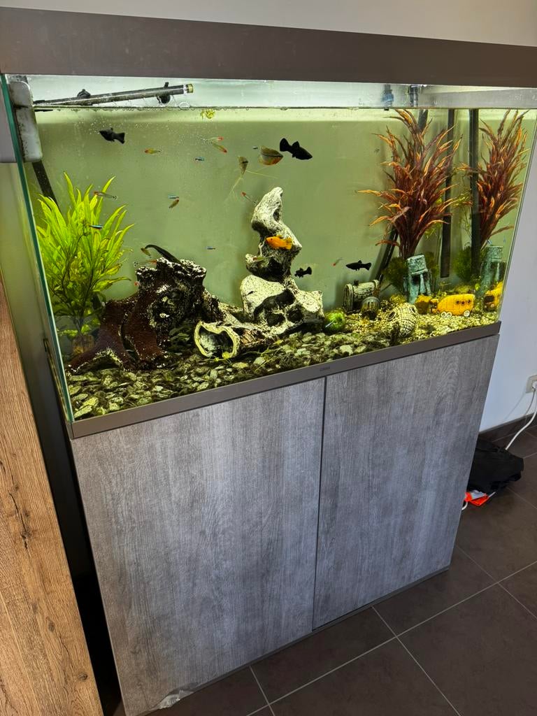Aquarium + kast, Gebruikt, Oase, Gevuld zoetwateraquarium, Inclusief vissen