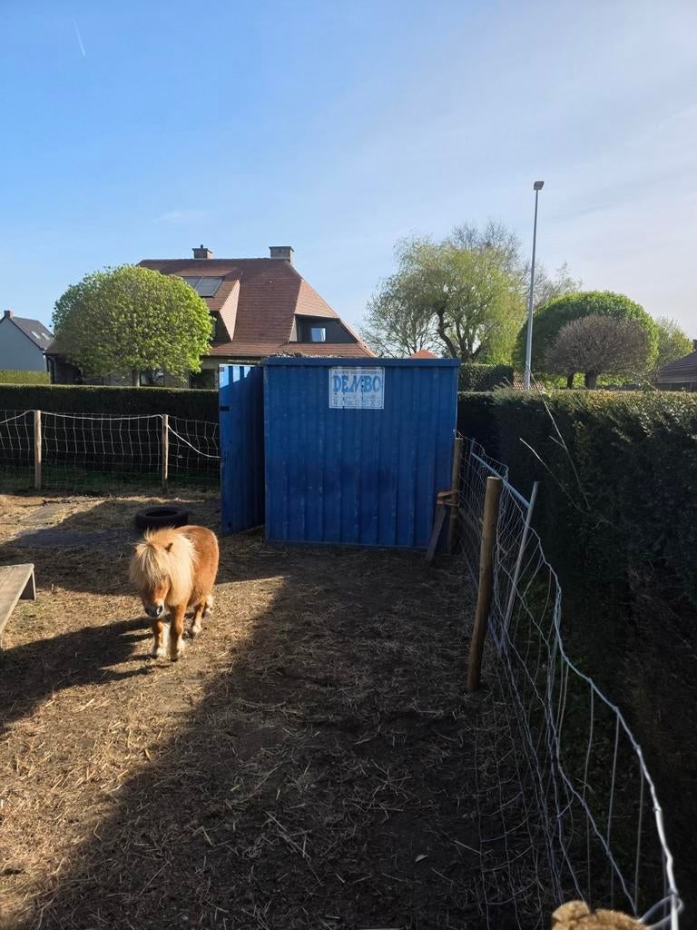 10ft Container/stal te koop, Doe-het-zelf en Bouw, Ophalen