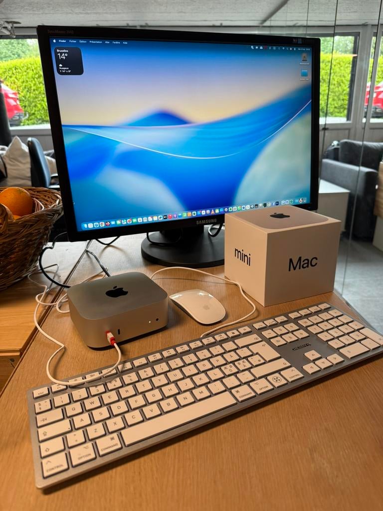 Mac mini M4 complet -16 Go RAM/512 Go SSD–Garantie juin 2026, Computers en Software, Apple Desktops, Ophalen, Zo goed als nieuw