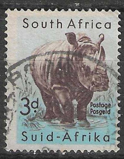 Zuid-Afrika 1960/1961 - Yvert 223 - Neushoorn (ST), Postzegels en Munten, Postzegels | Afrika, Verzenden, Zuid-Afrika, Gestempeld