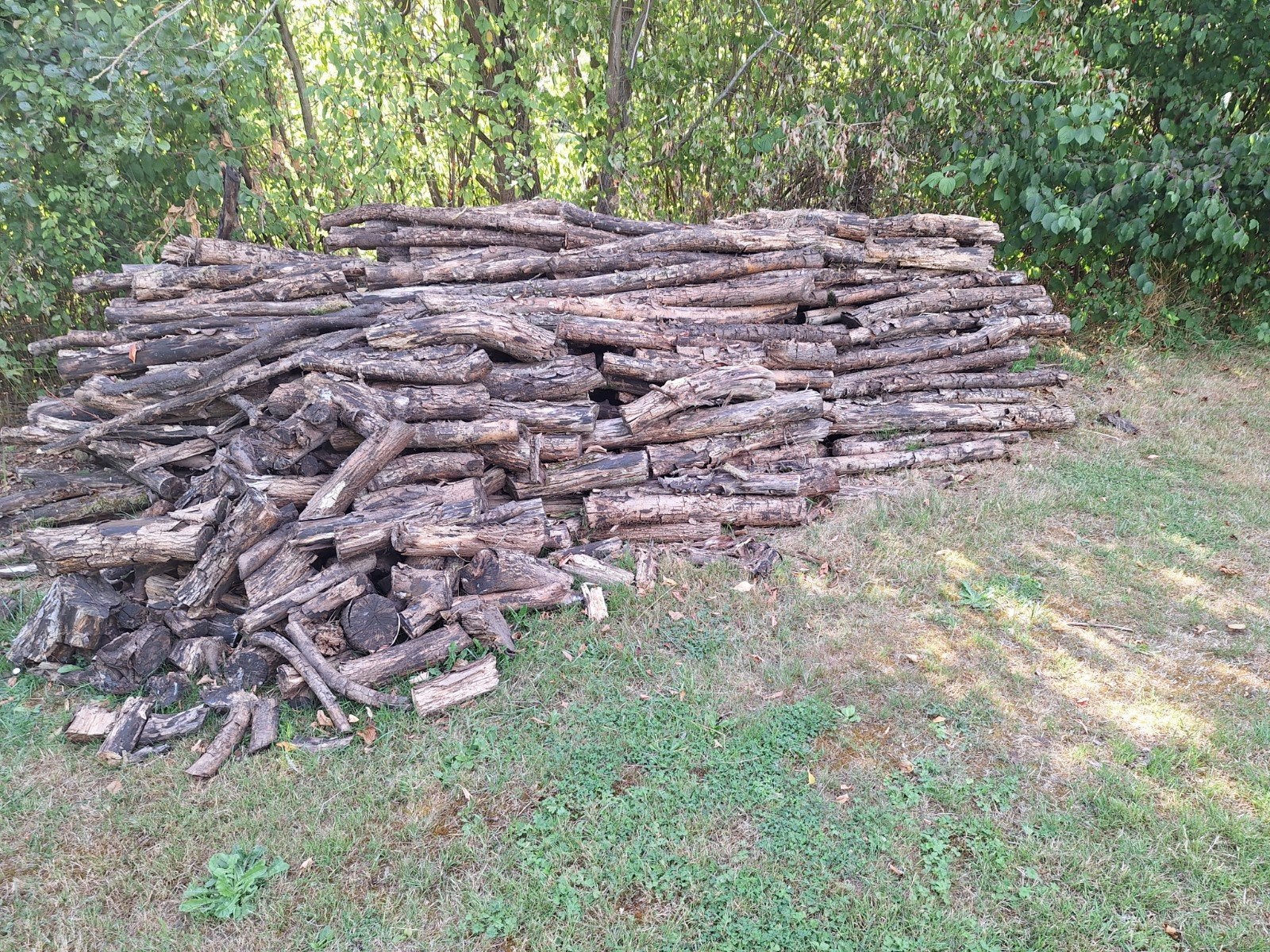 gratis (brand)hout, Tuin en Terras, Brandhout, Ophalen
