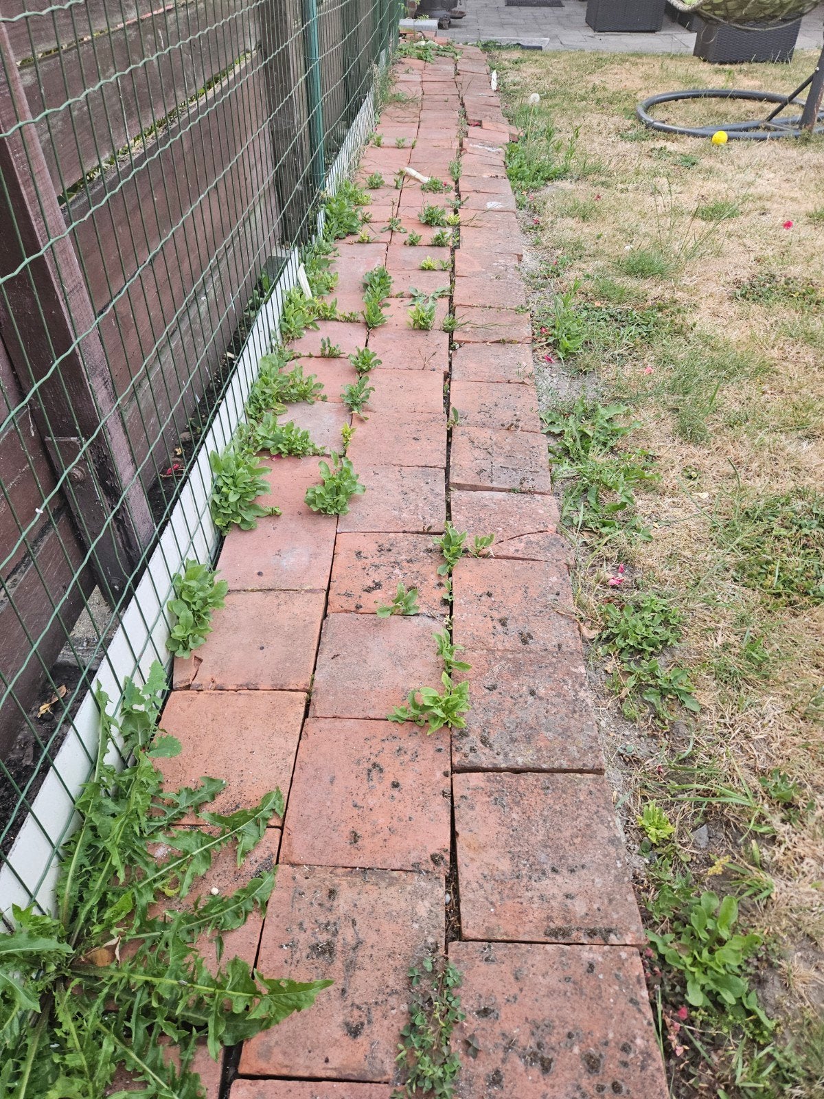 gratis terracotta tegels, Tuin en Terras, Ophalen, Gebruikt, 5 tot 10 m², Terrastegels