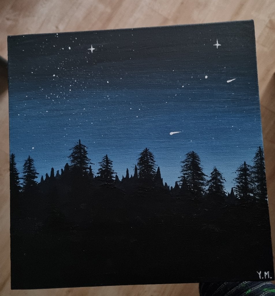 Zelfgemaakt schilderij op canvas, Ophalen of Verzenden, Handgeschilderd, Acrylverf, Landschap