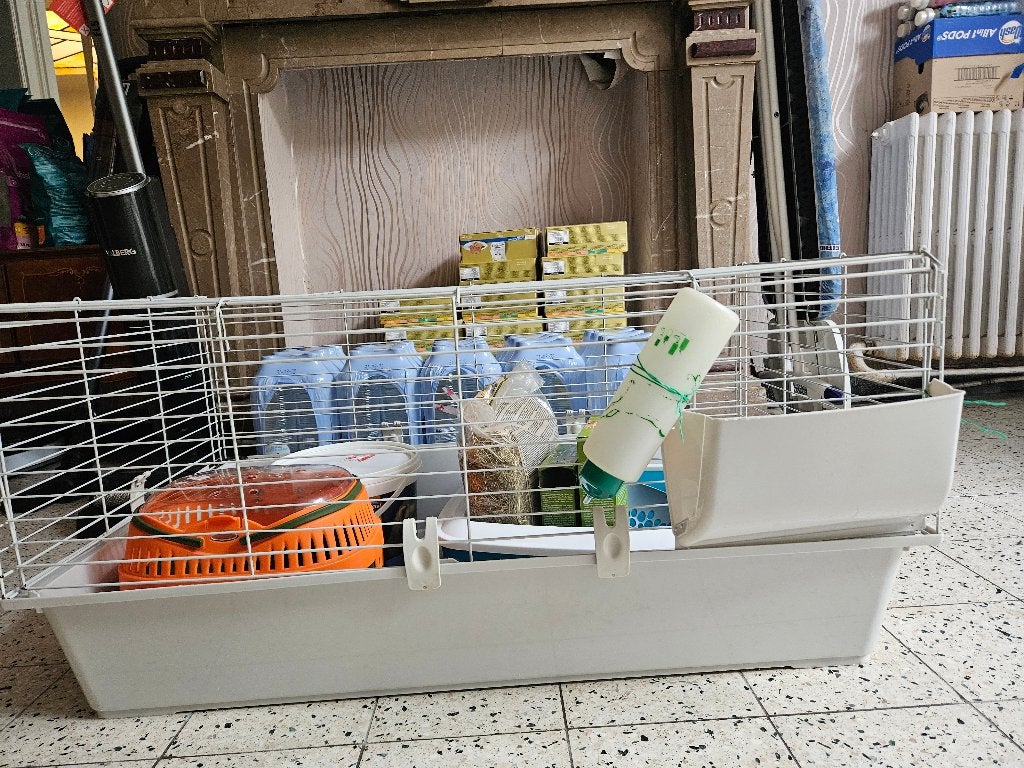 Grande cage à lapins / rongeurs, Enlèvement, Utilisé, Cage, Cobaye